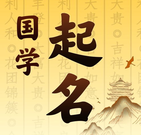 同安国学起名 人工起名一对一
